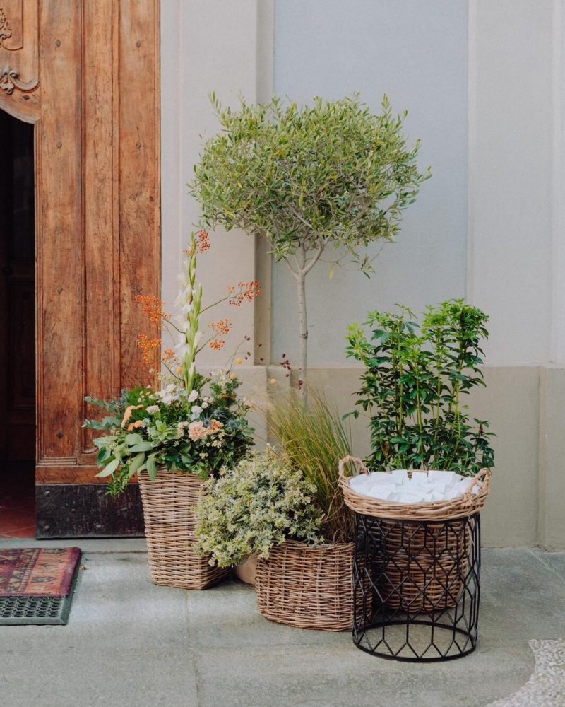 Servizi-allestimenti-ingressi-accoglienza